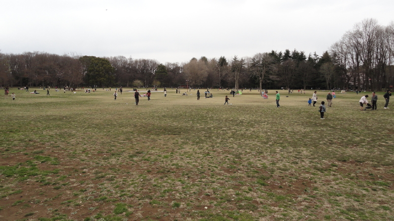 img0017.jpg