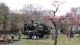 img0013.jpg