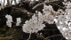 img0016.jpg