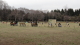 img0019.jpg