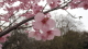 img0020.jpg