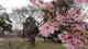 img0022.jpg