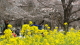 img0026.jpg