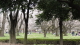 img0027.jpg