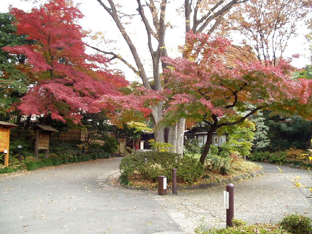 img0000.jpg