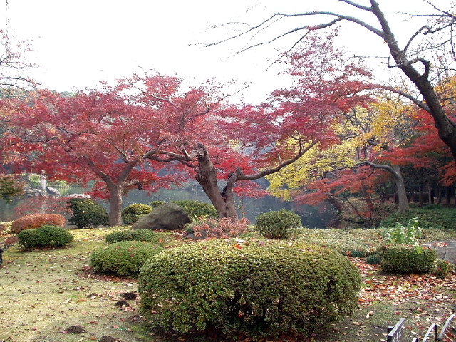 img0002.jpg