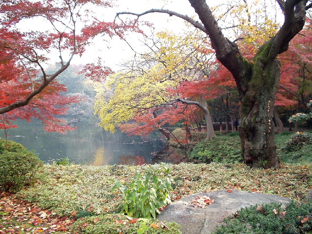 img0003.jpg