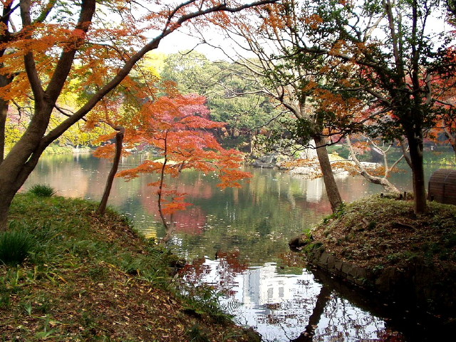img0004.jpg