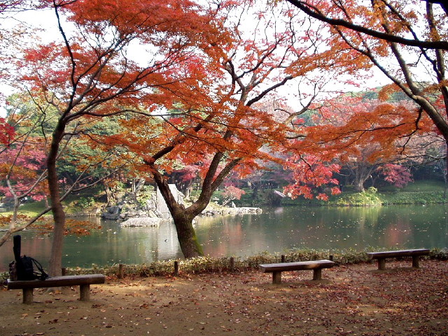 img0005.jpg