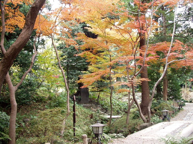 img0006.jpg