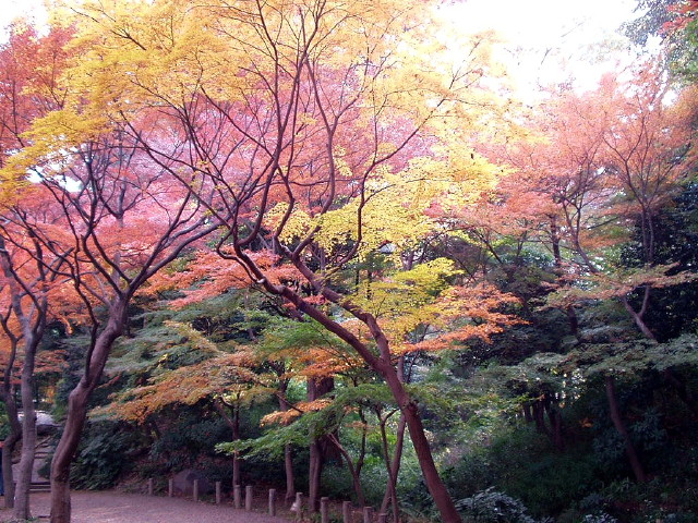 img0007.jpg