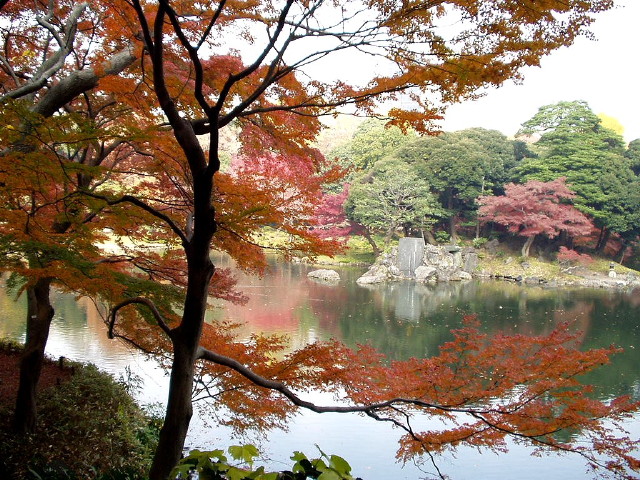img0010.jpg