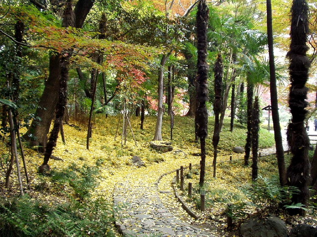 img0013.jpg