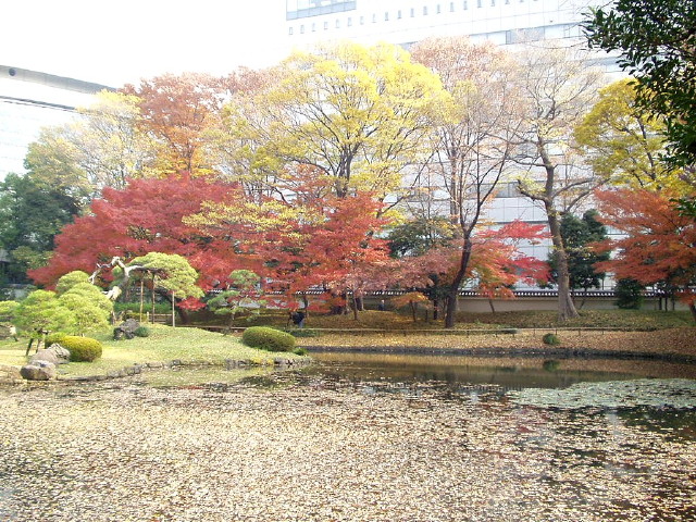 img0015.jpg