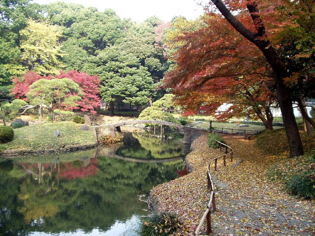 img0016.jpg