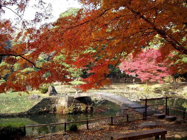 img0017.jpg