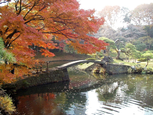 img0019.jpg