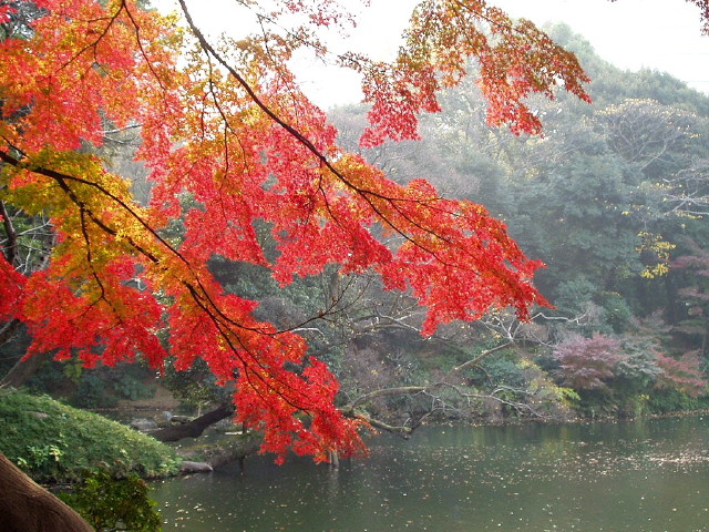 img0023.jpg