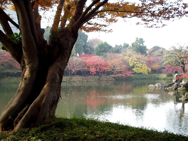 img0024.jpg