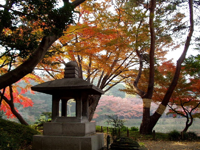 img0025.jpg