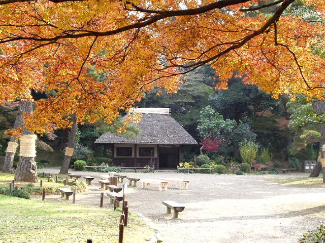 img0029.jpg