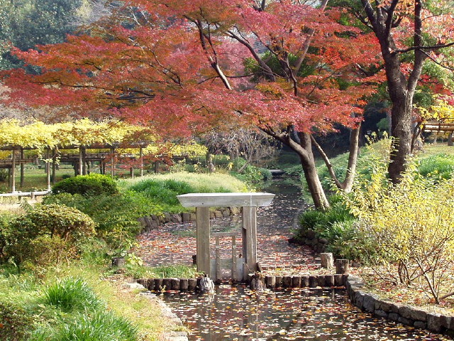 img0030.jpg