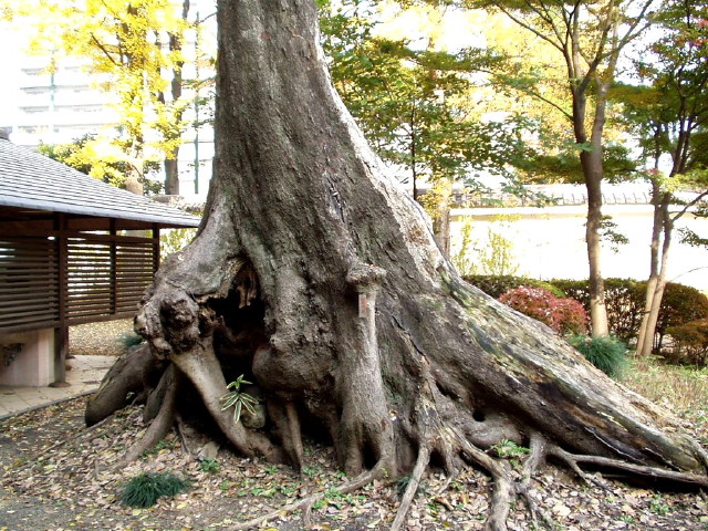 img0032.jpg