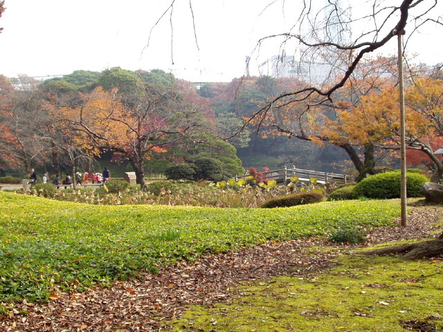 img0041.jpg