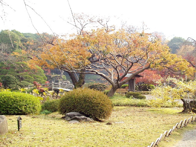 img0042.jpg