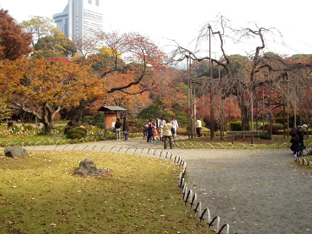 img0043.jpg