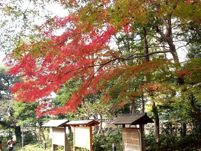 img0044.jpg