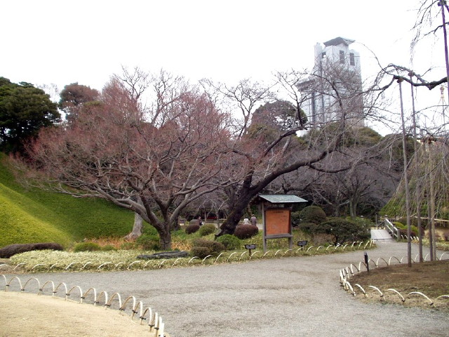 img0047.jpg