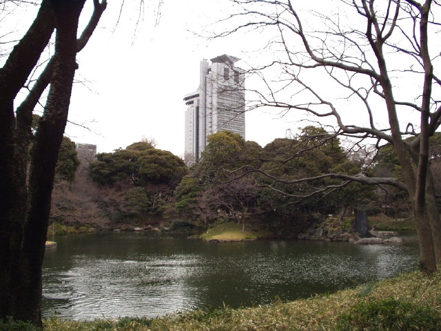 img0048.jpg