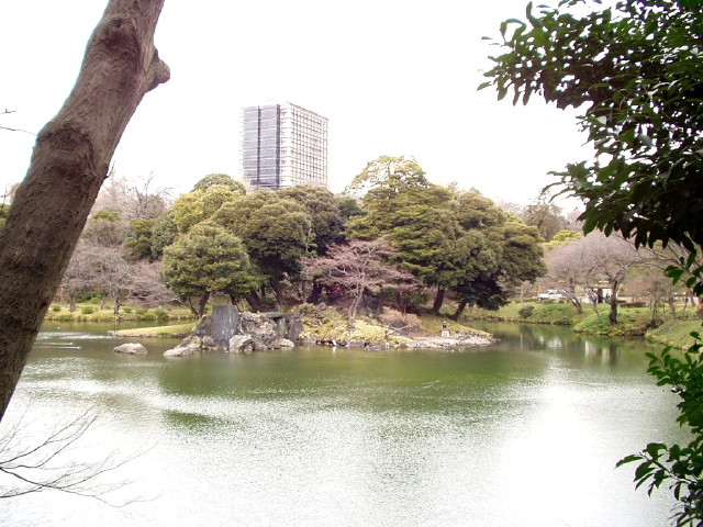 img0050.jpg