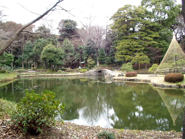 img0051.jpg