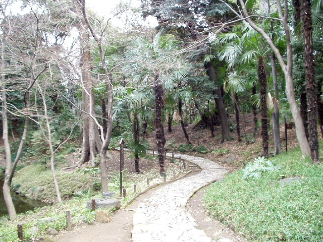 img0053.jpg