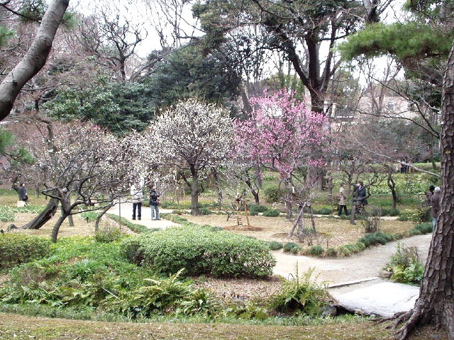 img0056.jpg