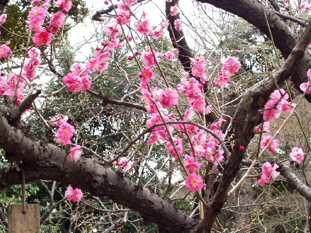 img0057.jpg