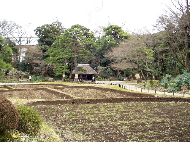 img0059.jpg