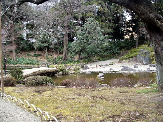 img0061.jpg