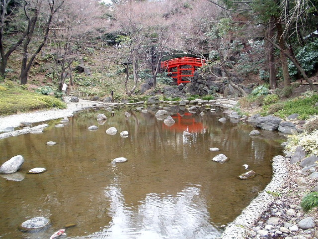 img0062.jpg
