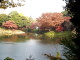 img0011.jpg