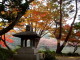 img0025.jpg