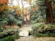 img0033.jpg