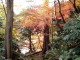 img0034.jpg