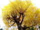 img0035.jpg