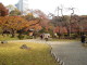 img0043.jpg