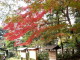 img0044.jpg