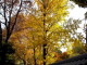 img0045.jpg