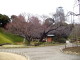img0047.jpg